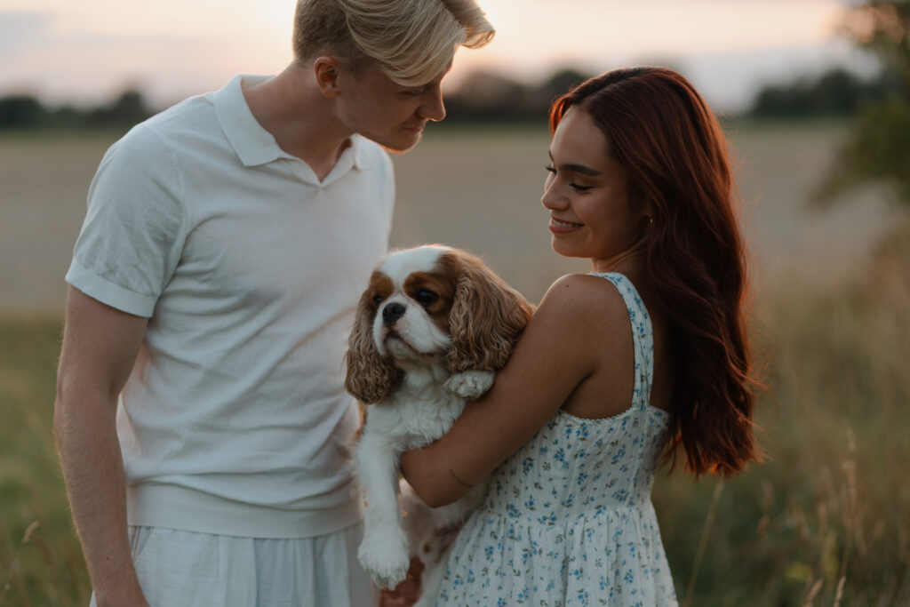 Plan rapproché en couleur lors d'une séance engagement à Prunay, près de Reims, au coucher du soleil. Un couple sourit joyeusement en regardant leur petit chien Cavalier King Charles, entourés de hautes herbes dorées.