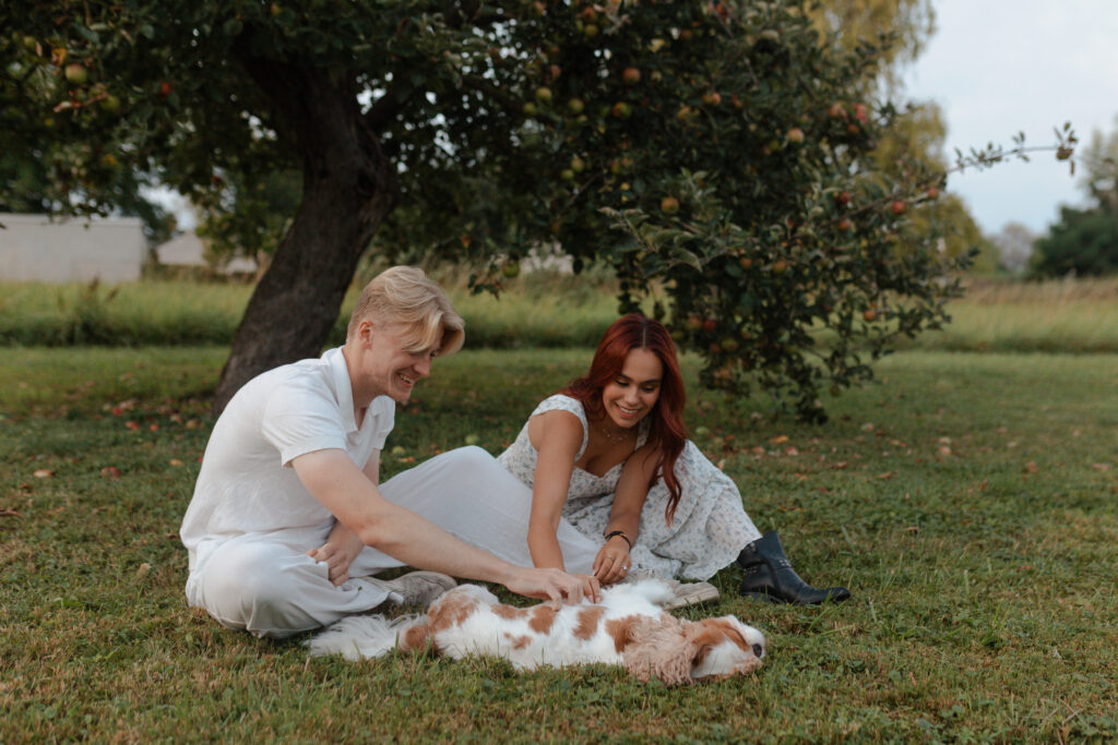 Photographie de couple au pied d'un pommier à Prunay, jouant avec leur petit chien Cavalier King Charles lors d'une séance engagement près de Reims.