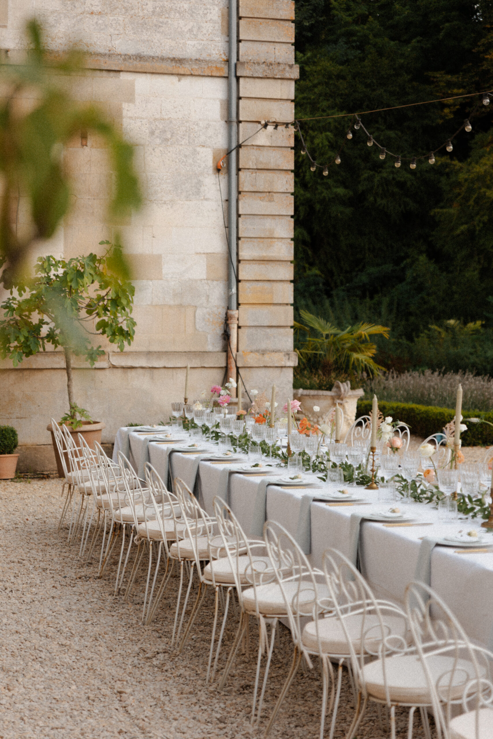 Photo de table de mariage au Château de Mairy prise à travers le feuillage d'une plante pour un effet naturel.
