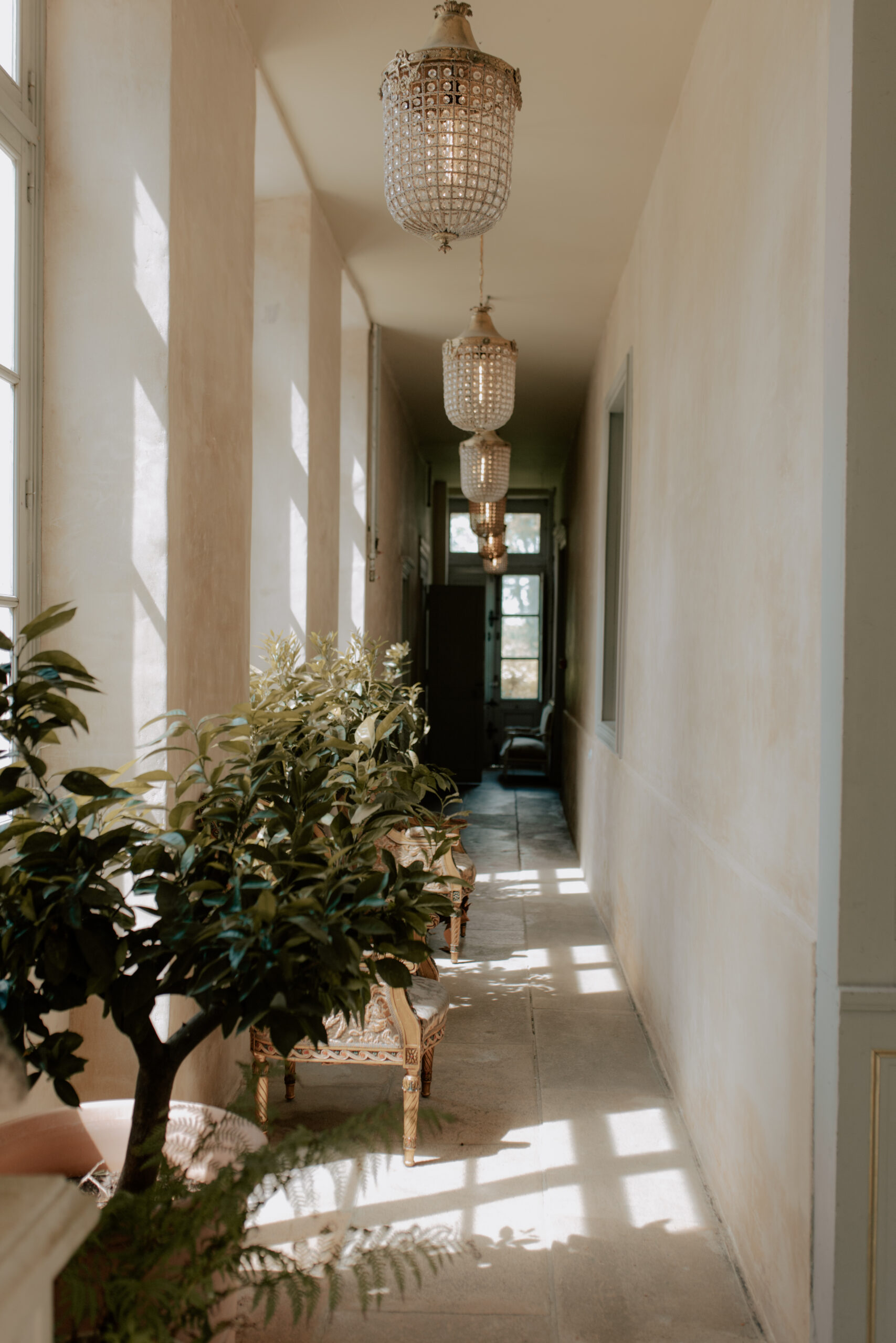 Couloir du château baigné de soleil avec des plantes vertes décoratives, domaine mariage Reims.