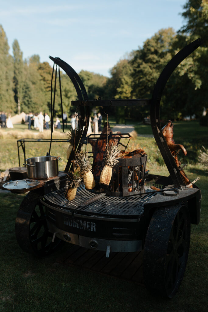Wild Cook Vaugency