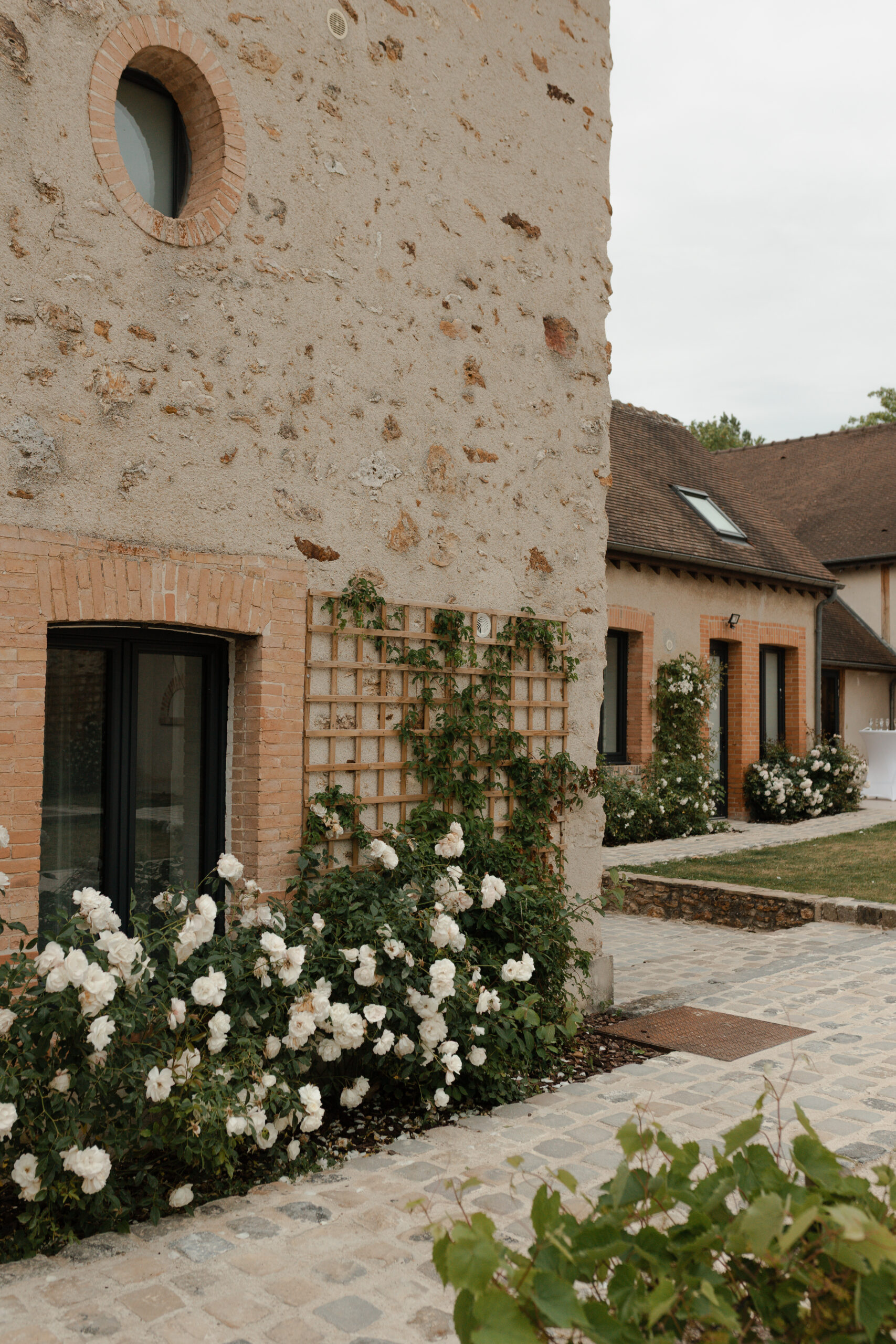 Plan détail sur un buisson de fleurs blanches grimpant sur la vieille pierre de la bâtisse du domaine La Farm.