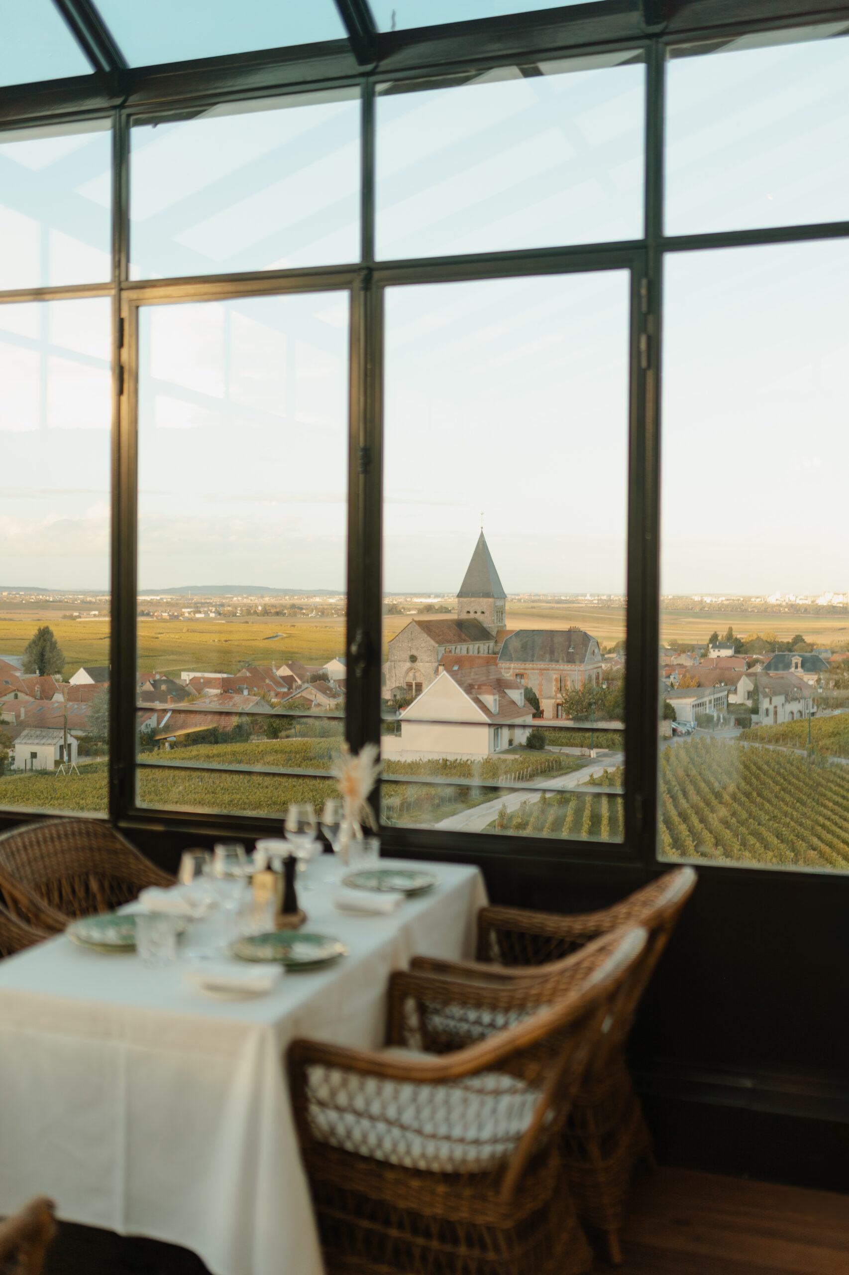 Vue panoramique depuis la verrière du Château de Sacy sur le village de Sacy et le clocher de son église typiquement champenoise.