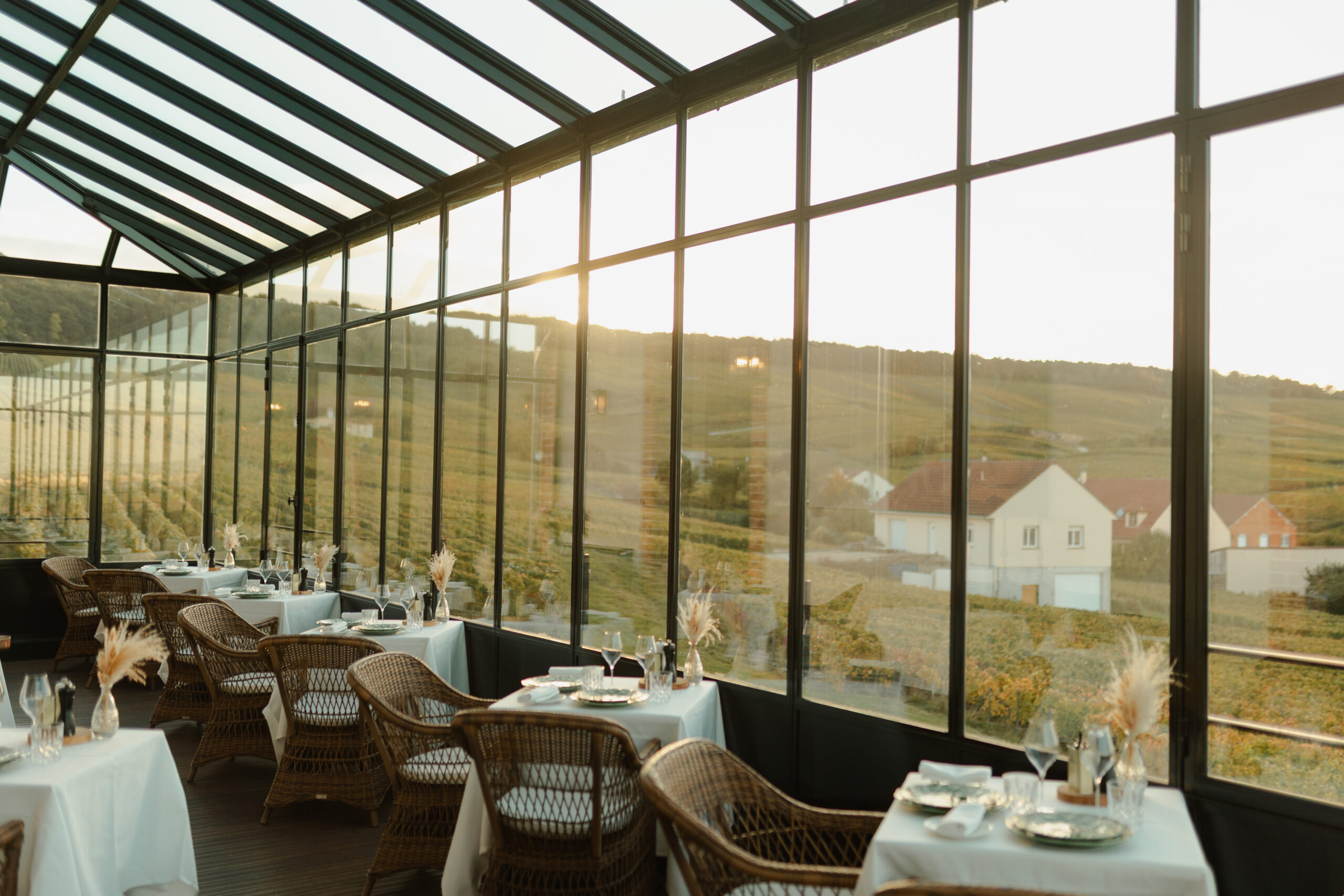 Vue panoramique depuis la verrière du Château de Sacy sur le vignoble champenois. La structure vitrée offre une immersion totale dans le paysage de la Montagne de Reims.