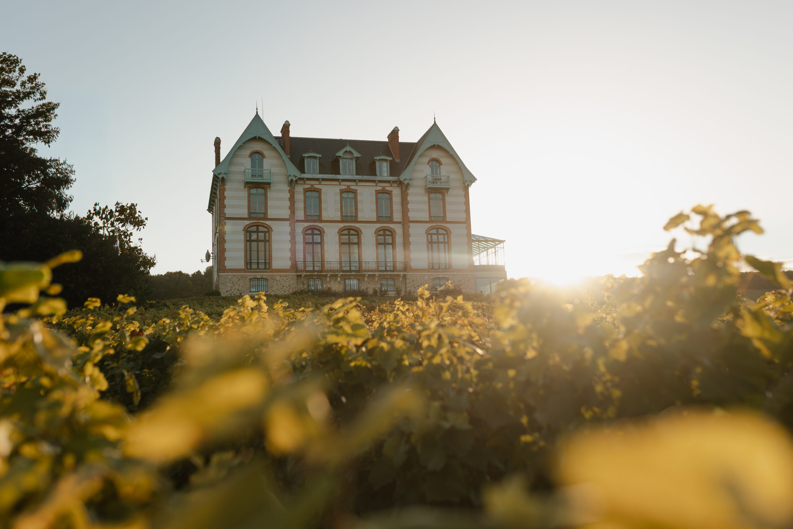 Vue extérieure du Château de Sacy au milieu des vignes sous une lumière éclatante d'été. Architecture de prestige entourée par le vignoble de la Montagne de Reims.