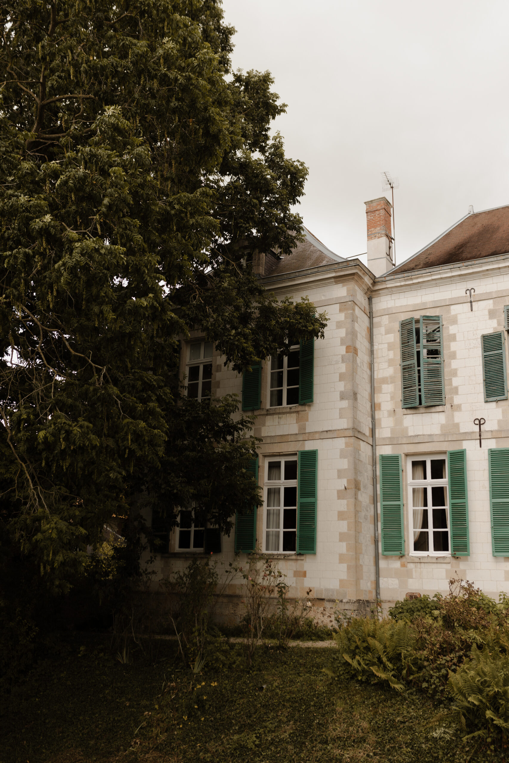 Photo de l’aile gauche du Château de Juvigny partiellement cachée par le feuillage d'un arbre.