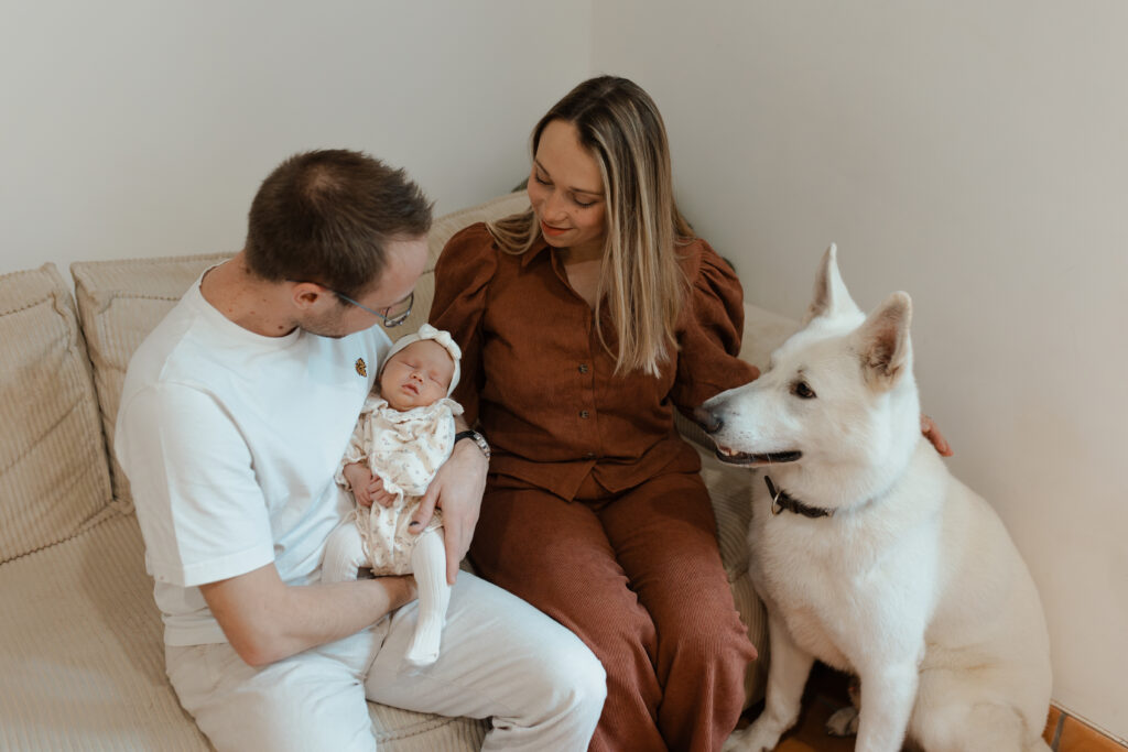 Papa tenant son bébé dans le canapé avec le chien assis à côté à Reims.